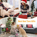 Squeaky Plush Dog Toy — Soft Plush Comfort with Built-In Squeaker