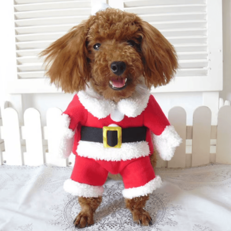 Red Santa Claus Dog Costume and Hat