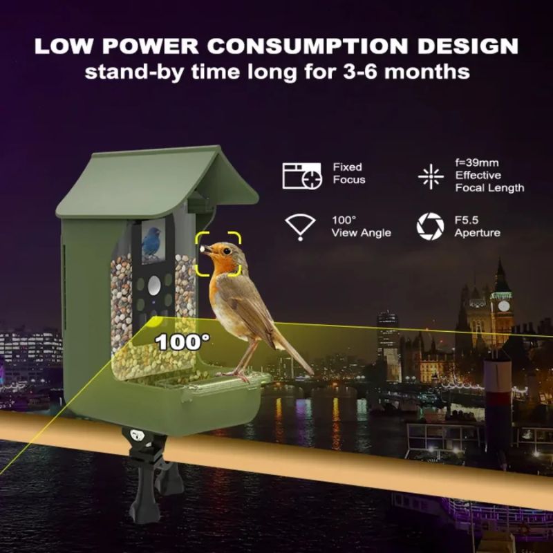Smart Bird Feeder Camera – PIR Motion Detection, Night Vision & Dual Feeder