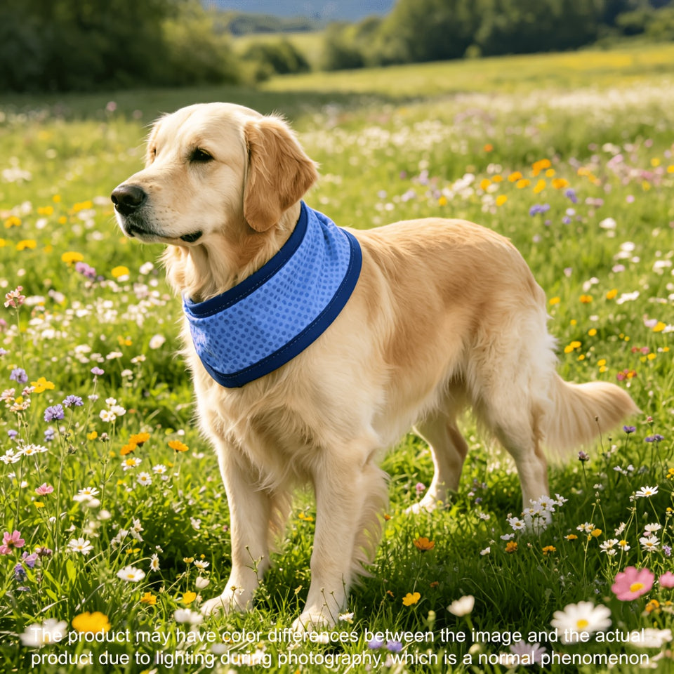 Cachorro golden retriever usando o lenço refrescante azul em campo florido