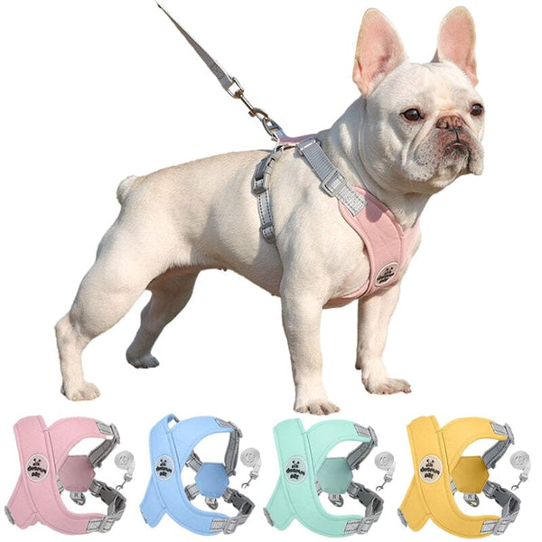 Adjustable No-Pull Harness & Leash Set – Safe, Comfy Walks