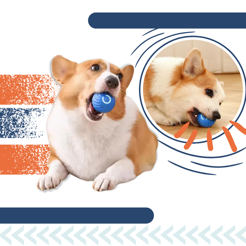 Smart Obstacle-Avoidance Dog Ball – Endless Fun, Zero Hassle