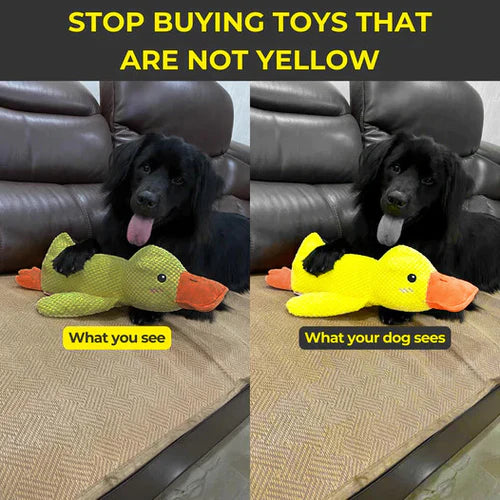 Calming Duck Dog Toy – Quack, Play & Comfort