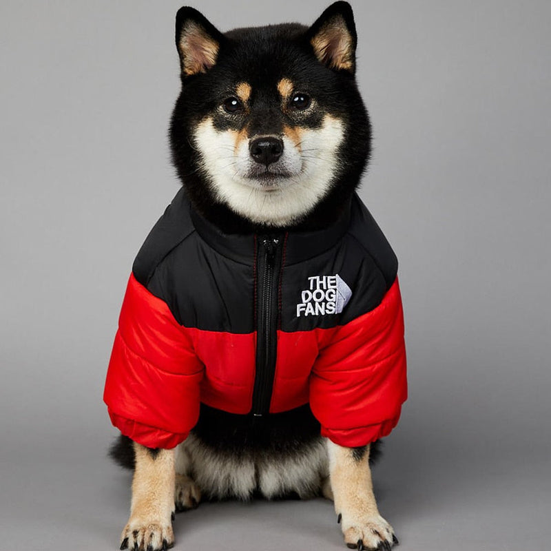 The Dog Fans Thermal Jacket – Keep Your Dog Warm in Style
