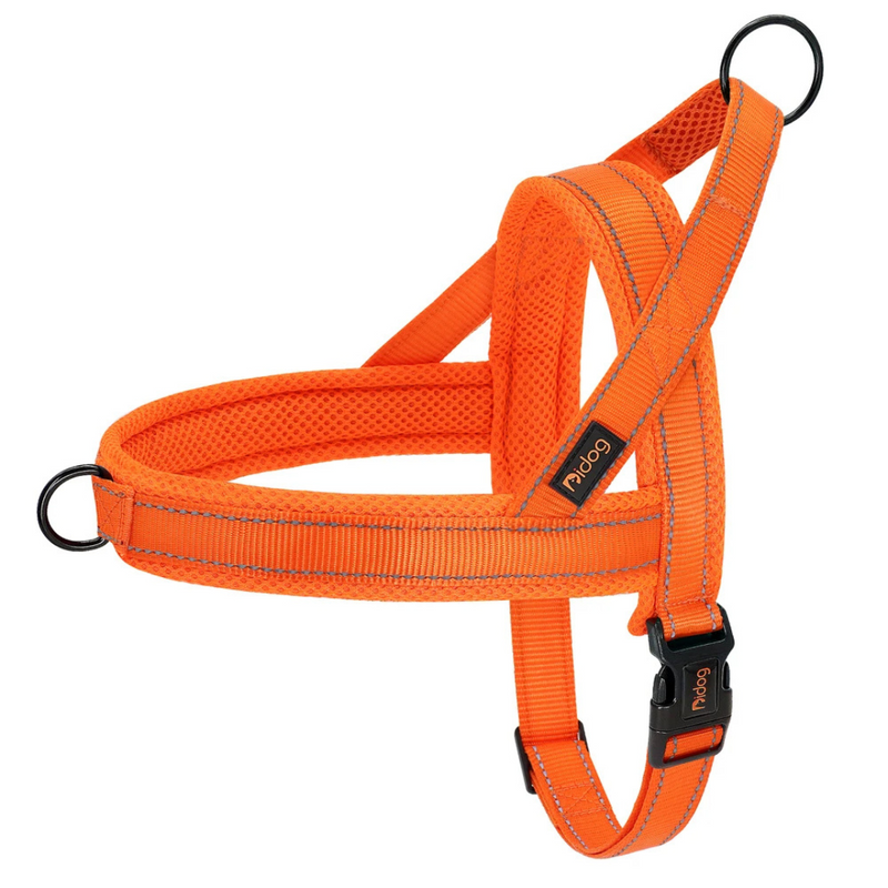 Comfortable Dog Harness – Soft, Padded & Secure for Stress-Free Walks