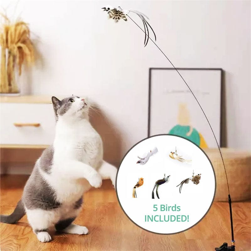 Cat Wand Toy Set – Interactive Feather and Bell Teaser Toys for Cats