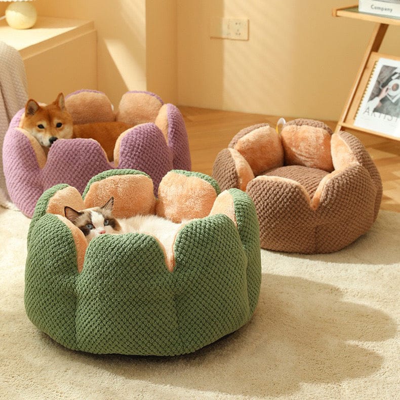 Flower Cat Bed — Plush Petal Design for Cozy Cat Comfort
