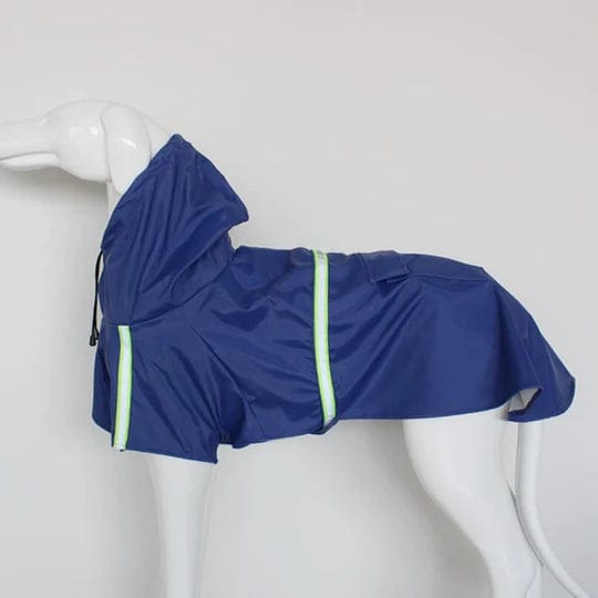 Waterproof Dog Raincoat — Dry & Comfortable Walks in Wet Weather