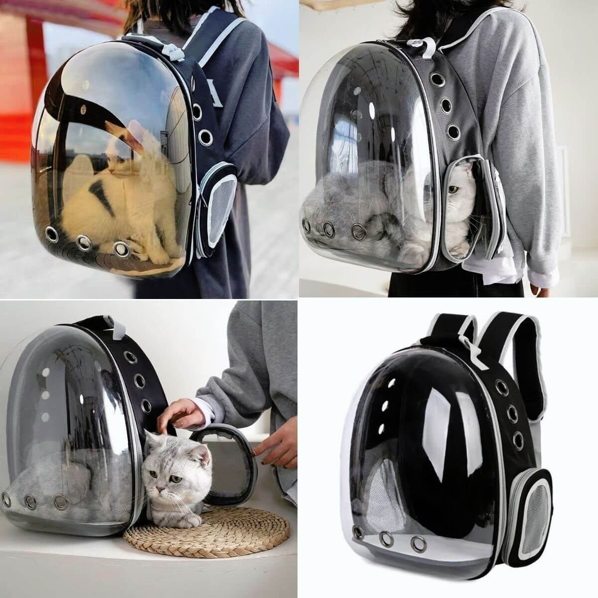 cat backpack with window leather The City Chic" Glass Bubble Best Cat Backpack Lightweight Backpack The Fat Cat - Cat