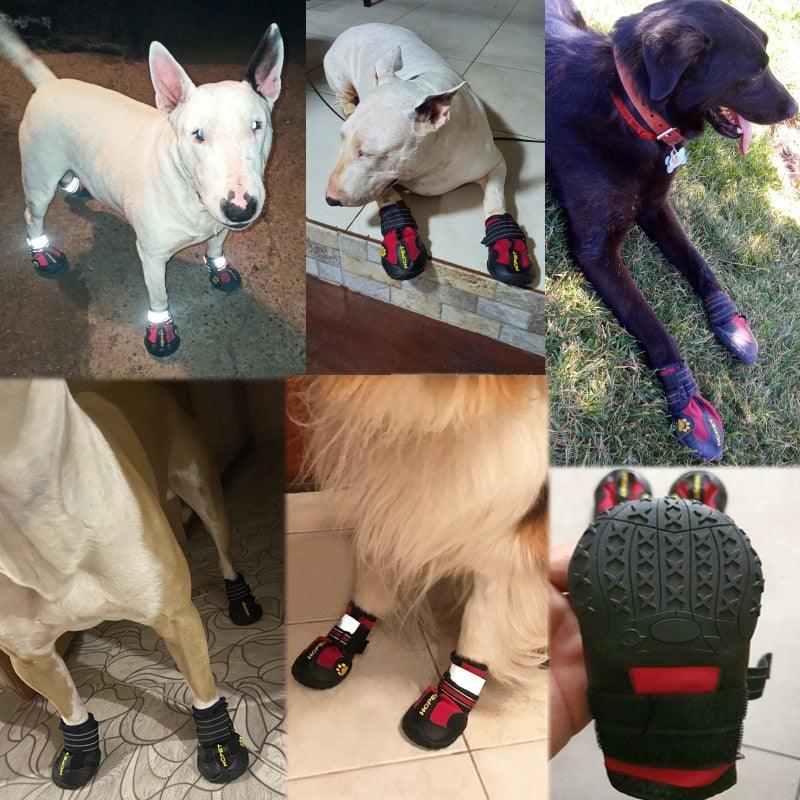 Adjustable velcro strap on waterproof dog shoe for secure comfortable fit