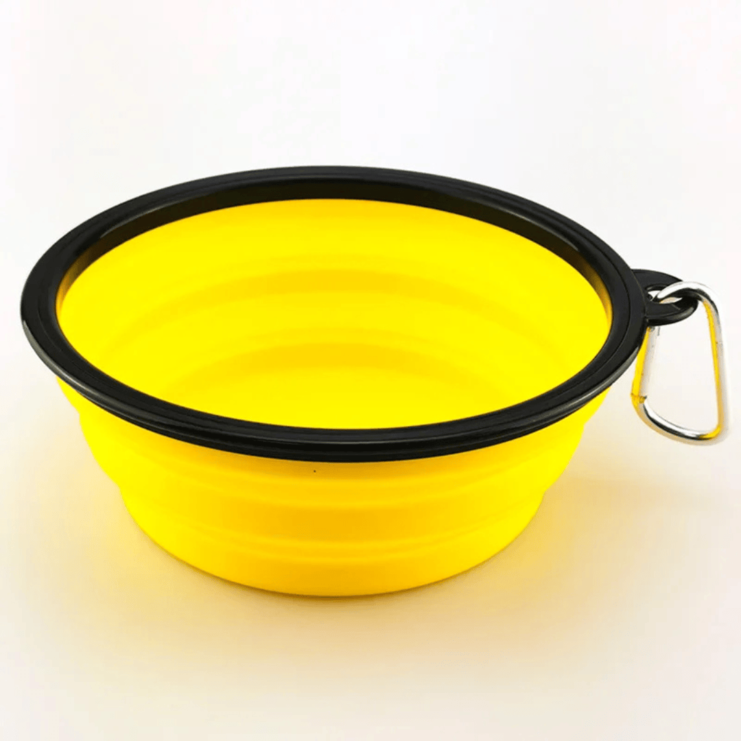 Collapsible Pet Bowl – Portable Travel Water & Food Bowl