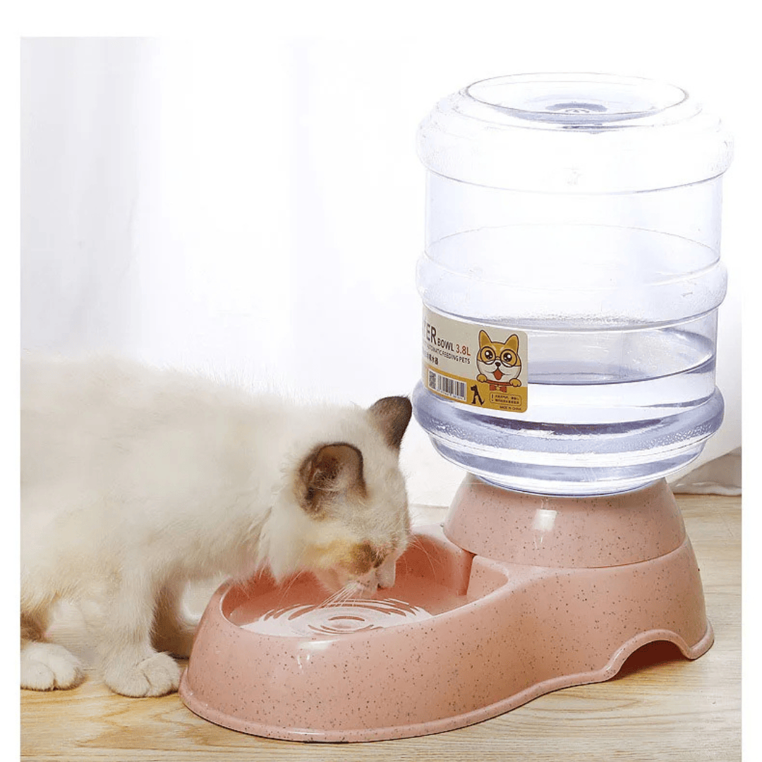 2-in-1 Pet Feeder & Water Dispenser – Gravity Food & Water Station