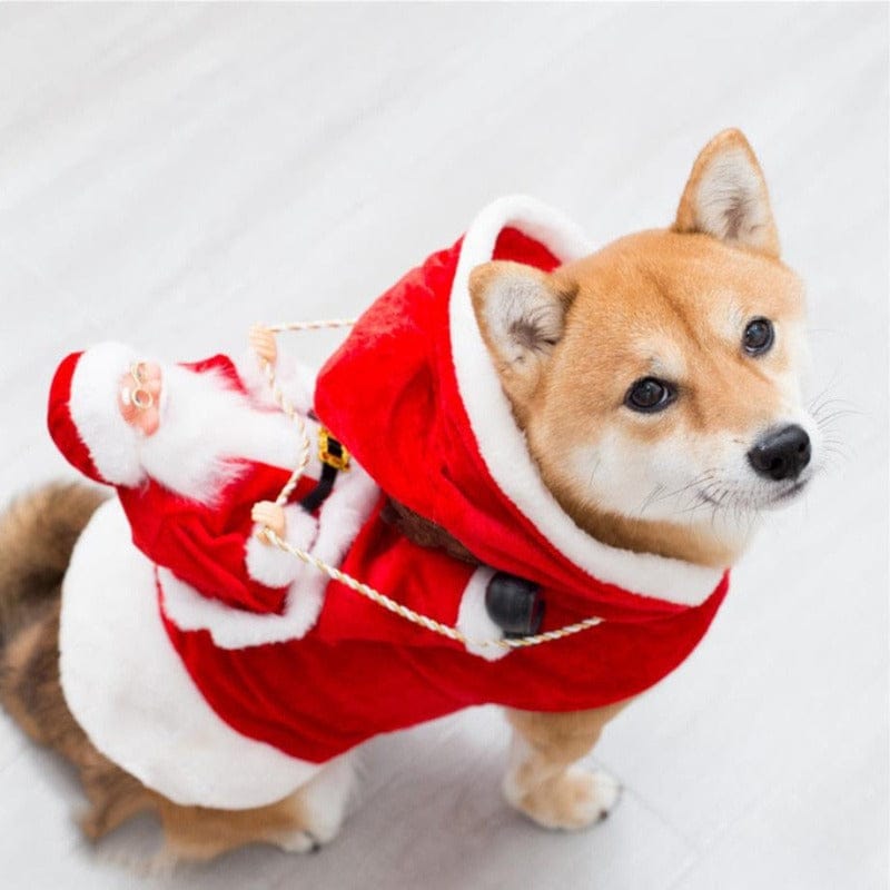 The Hilarious Riding Santa Dog Costume