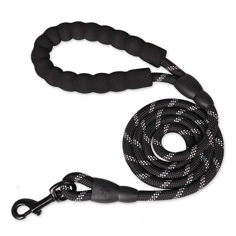 Durable Reflective Dog Collar – Safety & Strength for Every Walk