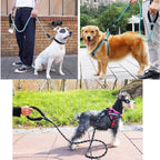 Durable Reflective Dog Leash — Strong Grip for Safer Walks