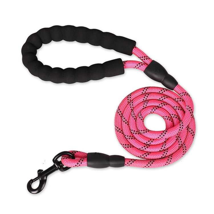 Durable Reflective Dog Collar – Safety & Strength for Every Walk
