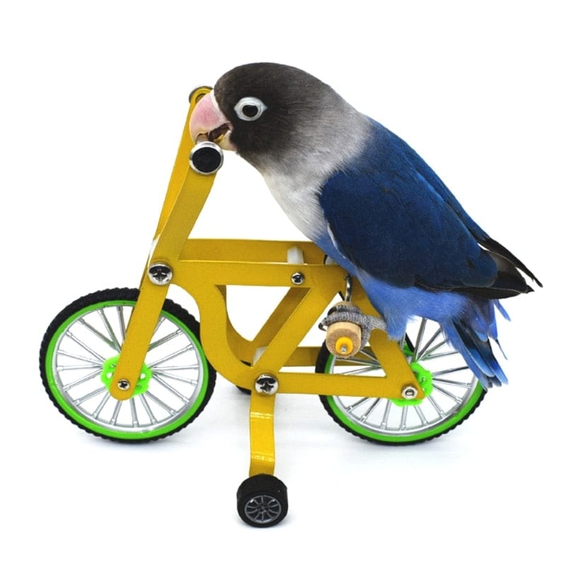 Parrot Bike Toy – Interactive & Durable Bird Trainer
