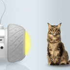Automatic Interactive Cat Toy — Self-Moving Electronic Play for Cats