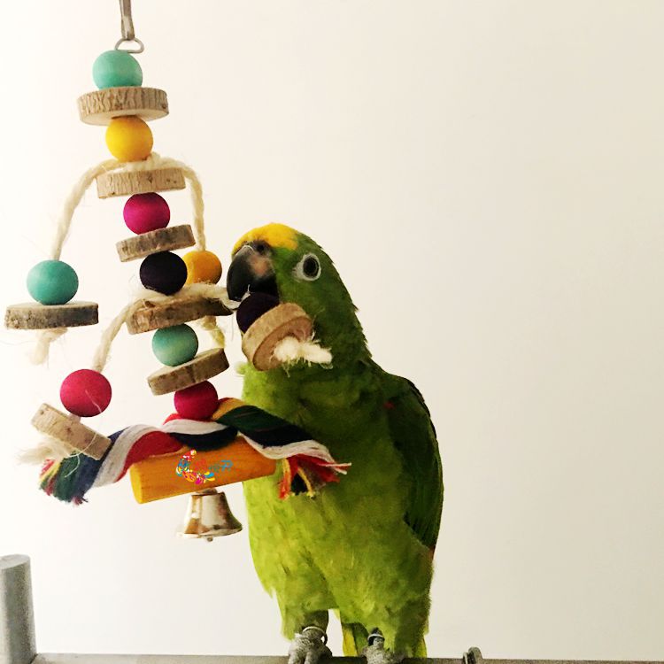 Parrot Pendulum Toy – Safe & Colorful Fun for Happy Birds