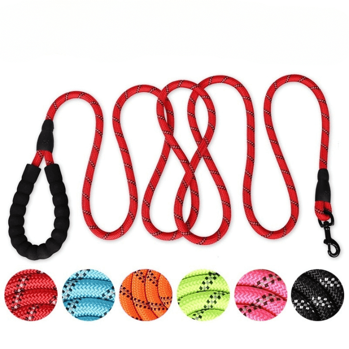 Durable Reflective Dog Leash — Strong Grip for Safer Walks
