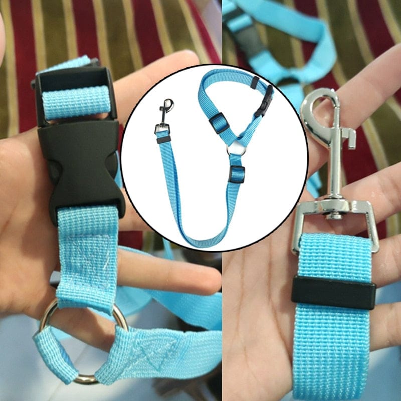 Pet car safety belt available in multiple sizes for dogs and cats