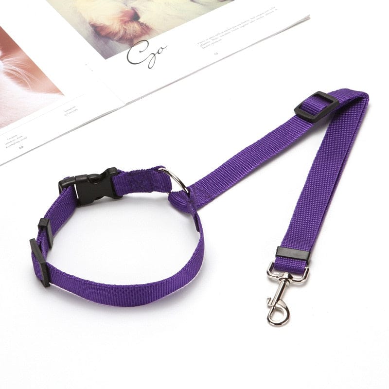 Adjustable pet car safety belt clipped to car seat belt for dog