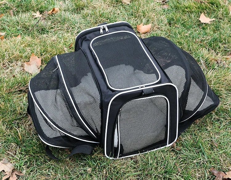 Expandable Foldable Pet Carrier — Extra Space & Breathable Comfort