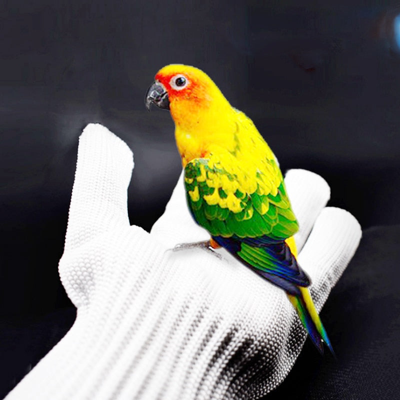 Anti-Bite Bird Training Gloves – Safe & Durable Protection for Handling Birds