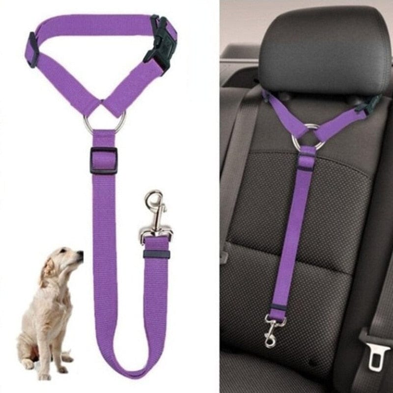 Close-up swivel clip on adjustable pet car safety harness belt