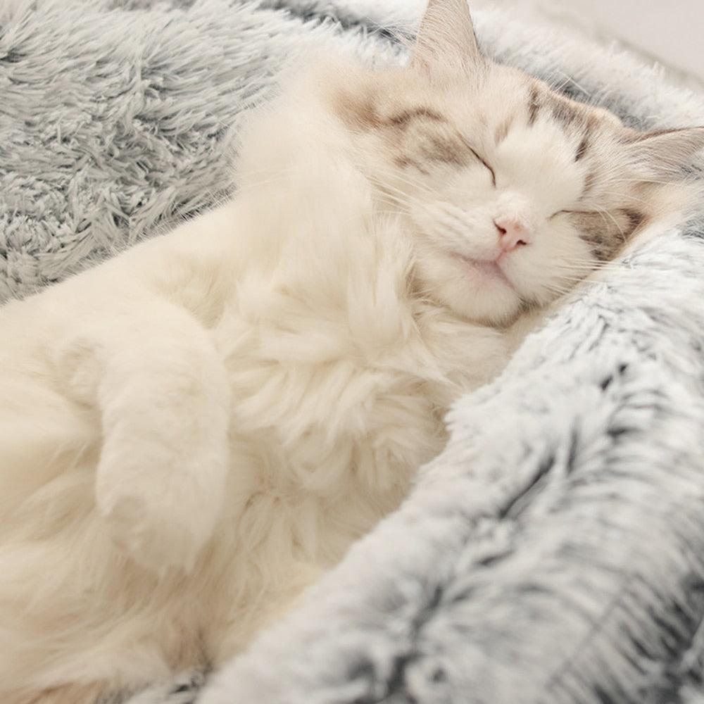 Cloud Luxury Cat Bed – Ultra Plush Cloud-Like Comfort
