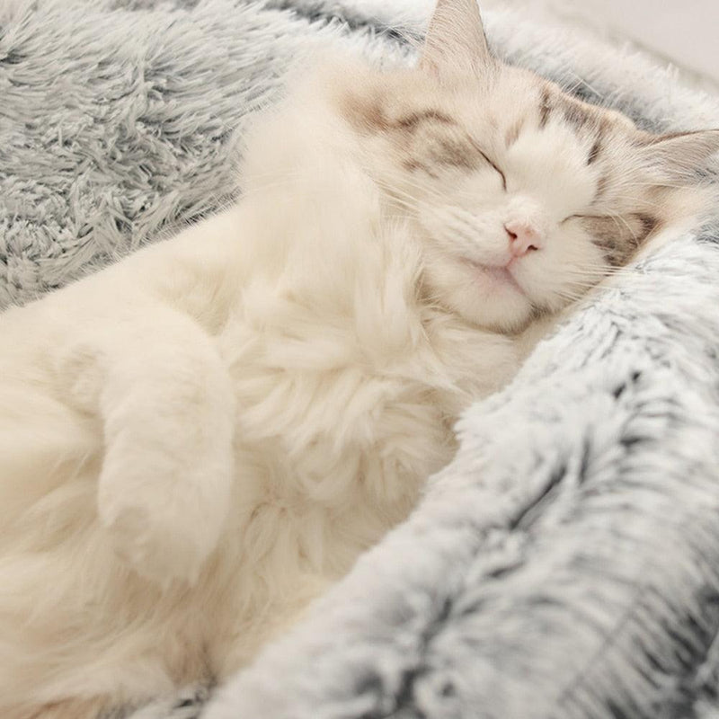 Cloud Luxury Cat Bed – Ultra Soft Plush Comfort for Cats