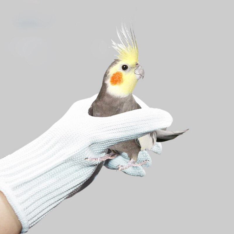 Anti-Bite Bird Training Gloves – Safe & Durable Protection for Handling Birds