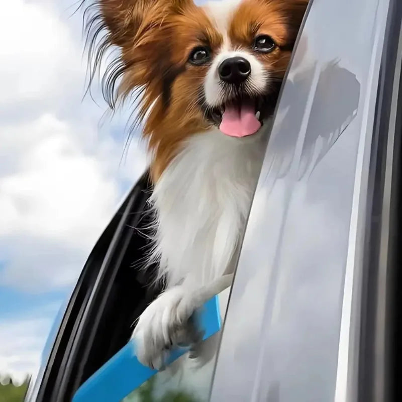 Cachorro pequeno com queixo apoiado no cushion azul da janela