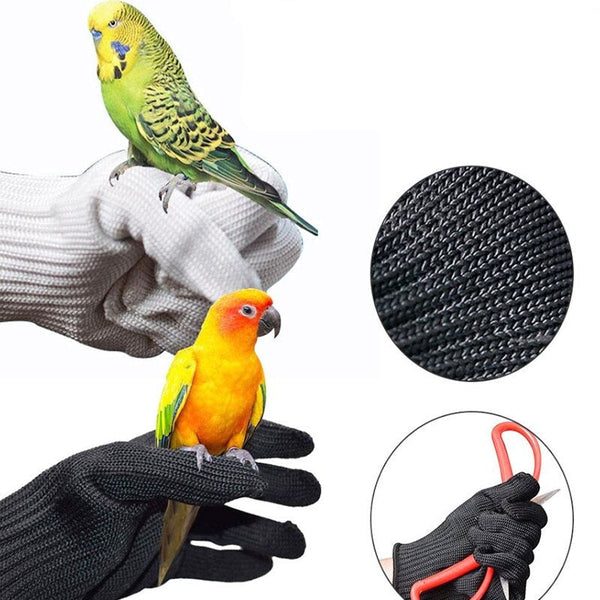 Anti-Bite Bird Training Gloves – Safe & Durable Protection for Handling Birds