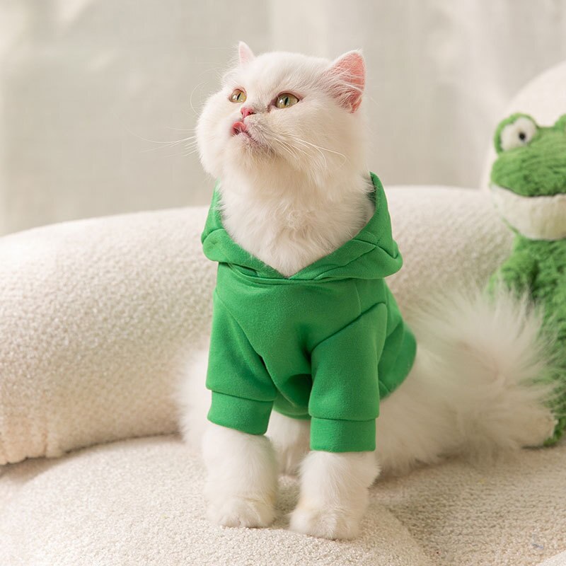 Frog Hoodie for Cats & Dogs – Cozy, Cute & Full of Personality