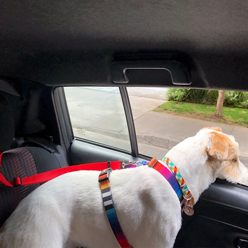 Pet Safety Belt – Keep Your Dog or Cat Secure While Traveling