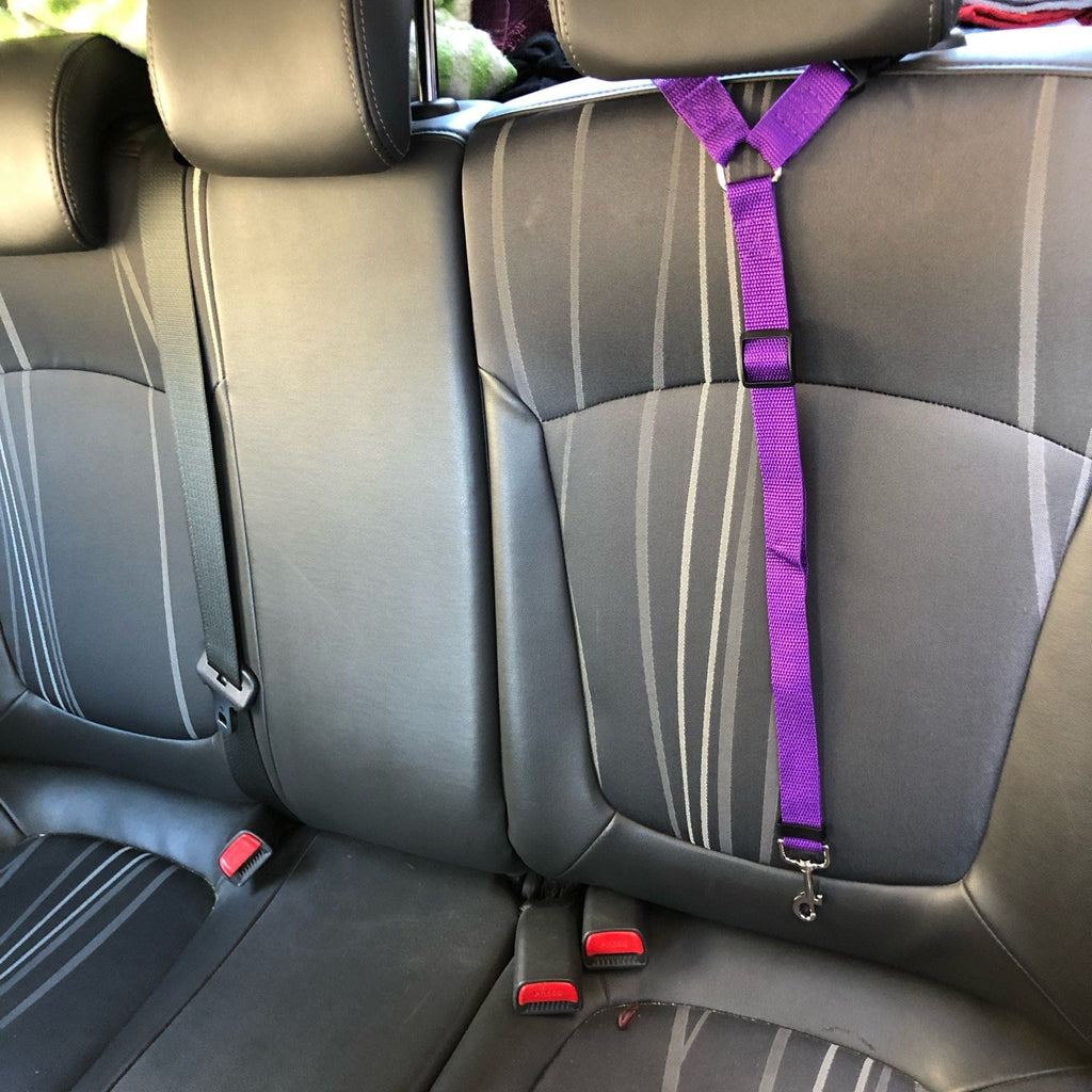Secure pet car seat belt for dogs and cats during travel