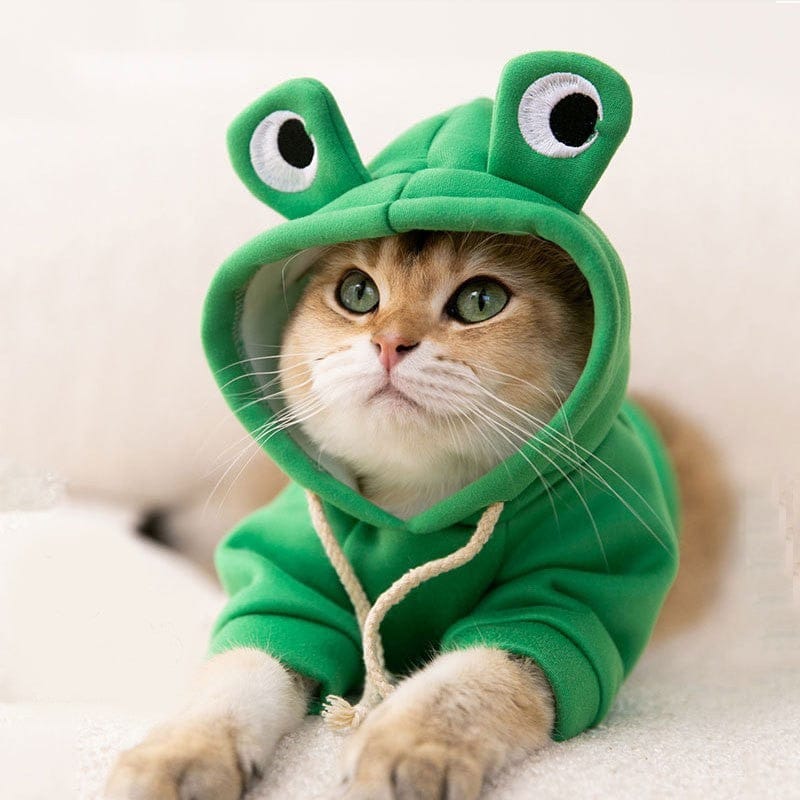 Frog Pet Hoodie – Cozy Outfit for Dogs & Cats