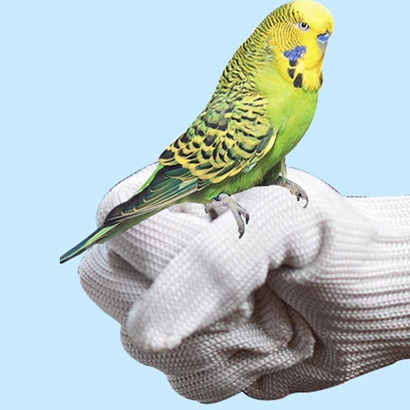 Anti-Bite Bird Training Gloves – Safe & Durable Protection for Handling Birds