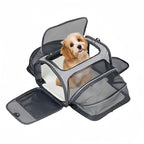 Saco de transporte para animais de estimação dobrável pequeno cão carta carregando gato fora saco expansão pet saco malha respirável expansão dobrável portátil c