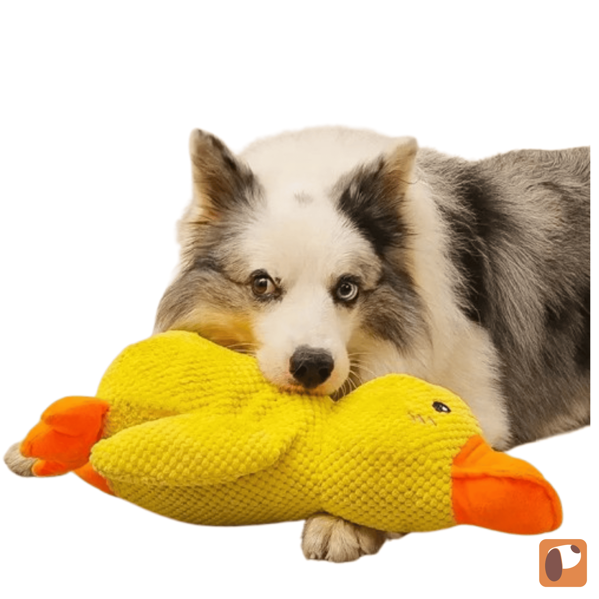 Calming Duck Dog Toy — Gentle Quack Play & Comfort