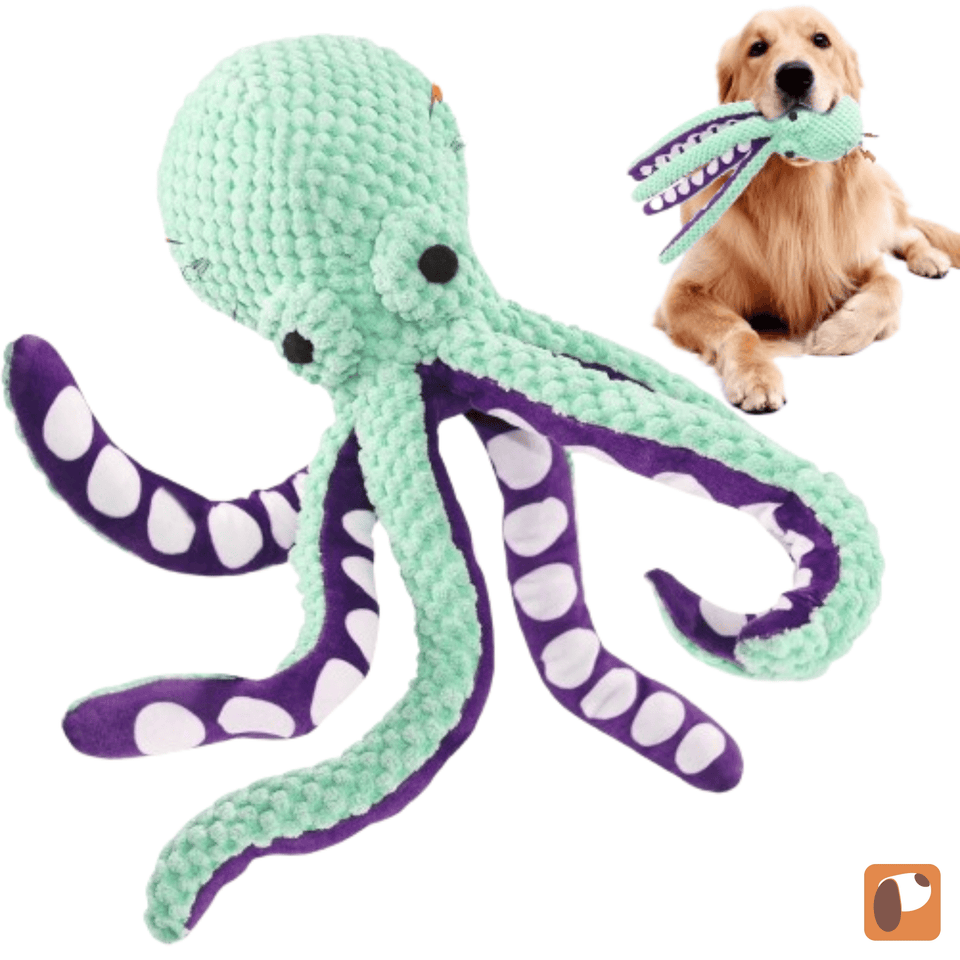 Plush Squeaky Dog Toys – Soft Toys for Puppies & Small Dogs