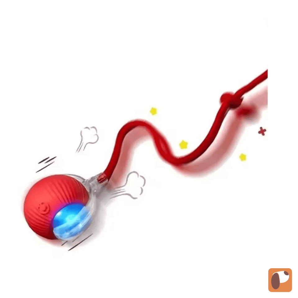 Interactive Sensor Cat Ball — Motion-Activated Play for Curious Cats