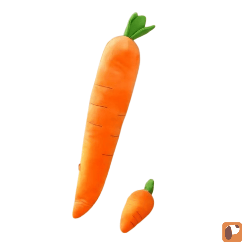 Squeaky Plush Carrot Dog Toy — Soft Interactive Play for Dogs