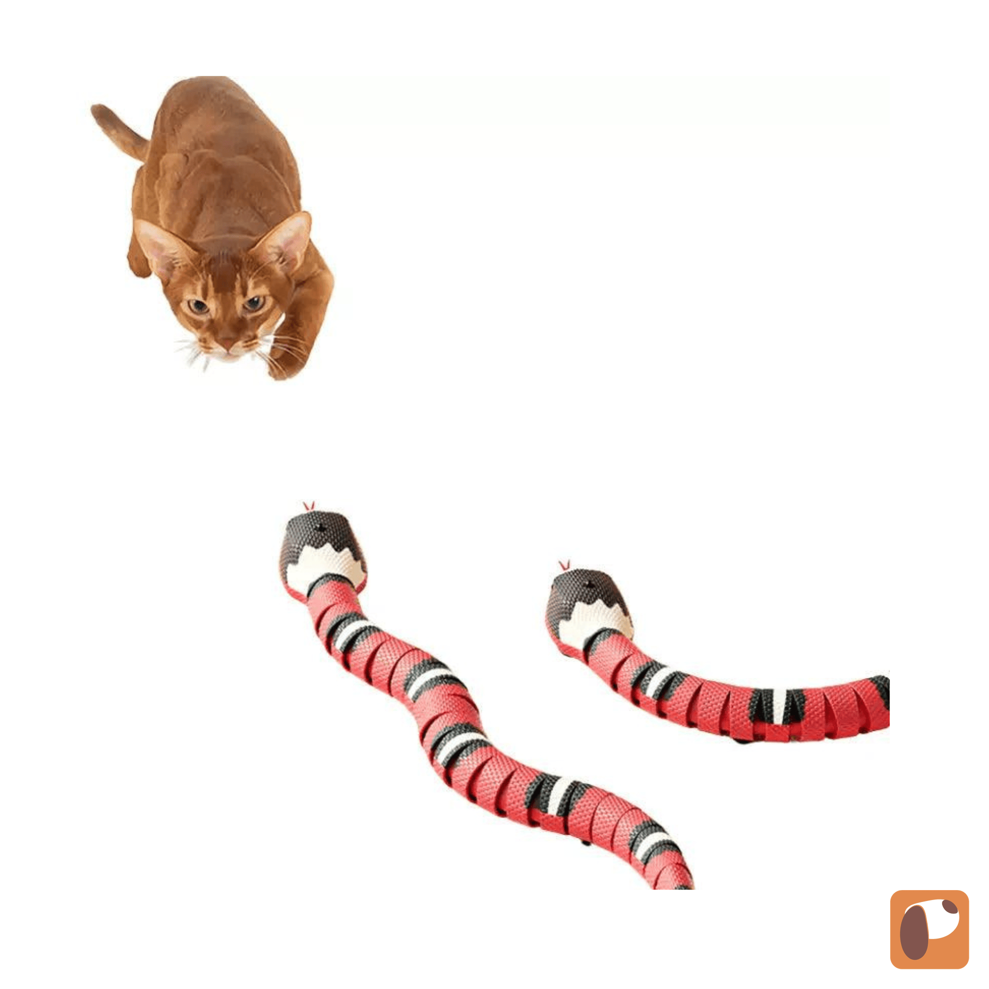 Motion-activated electric snake cat toy coiled on floor ready to activate