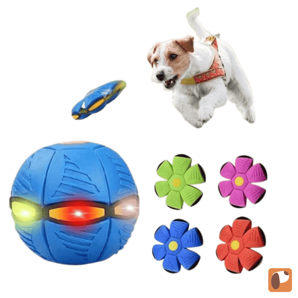 Interactive Doggy Disc Ball — Dual Play Fetch & Roll for Dogs