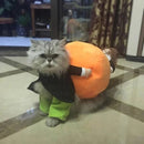 Dog Pumpkin Halloween Costume – Fun & Cozy Outfit