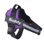Personalized No-Pull Reflective Dog Harness — Adjustable, Secure & Safer Walks