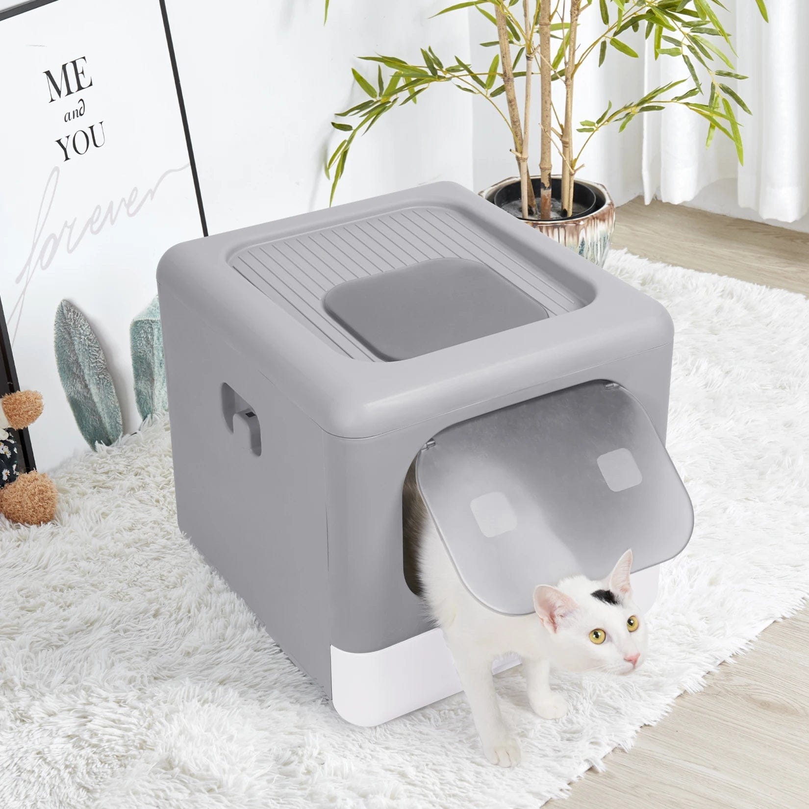 Enclosed Cat Litter Box — Privacy, Odor Control & Easy Cleaning