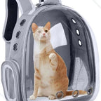 Pet Carrier Backpack – Transparent Panoramic Window for Cats & Dogs